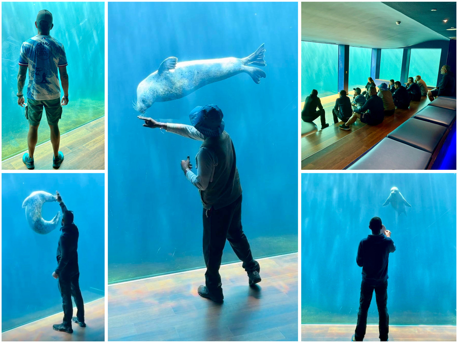 Quand la magie opère entre l’Homme et l’animal ✨🐬
