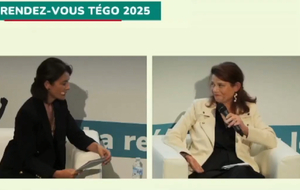 RDV Tégo 2025 : Intervention de la psychologue Dominique Levy à propos du CSINI