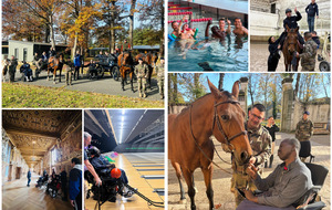 🌿 Stage d’oxygénation à Fontainebleau : un temps pour souffler et se retrouver 🐴🏰