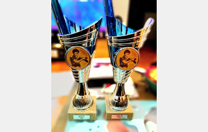 🏓 Open Île-de-France de tennis de table 2026 : de belles performances pour le CSINI