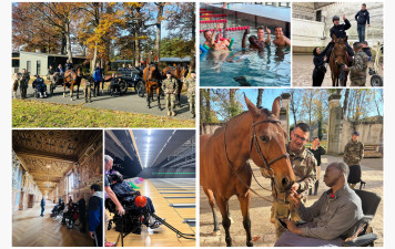 🌿 Stage d’oxygénation à Fontainebleau : un temps pour souffler et se retrouver 🐴🏰