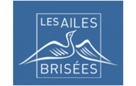 Les Ailes brisées